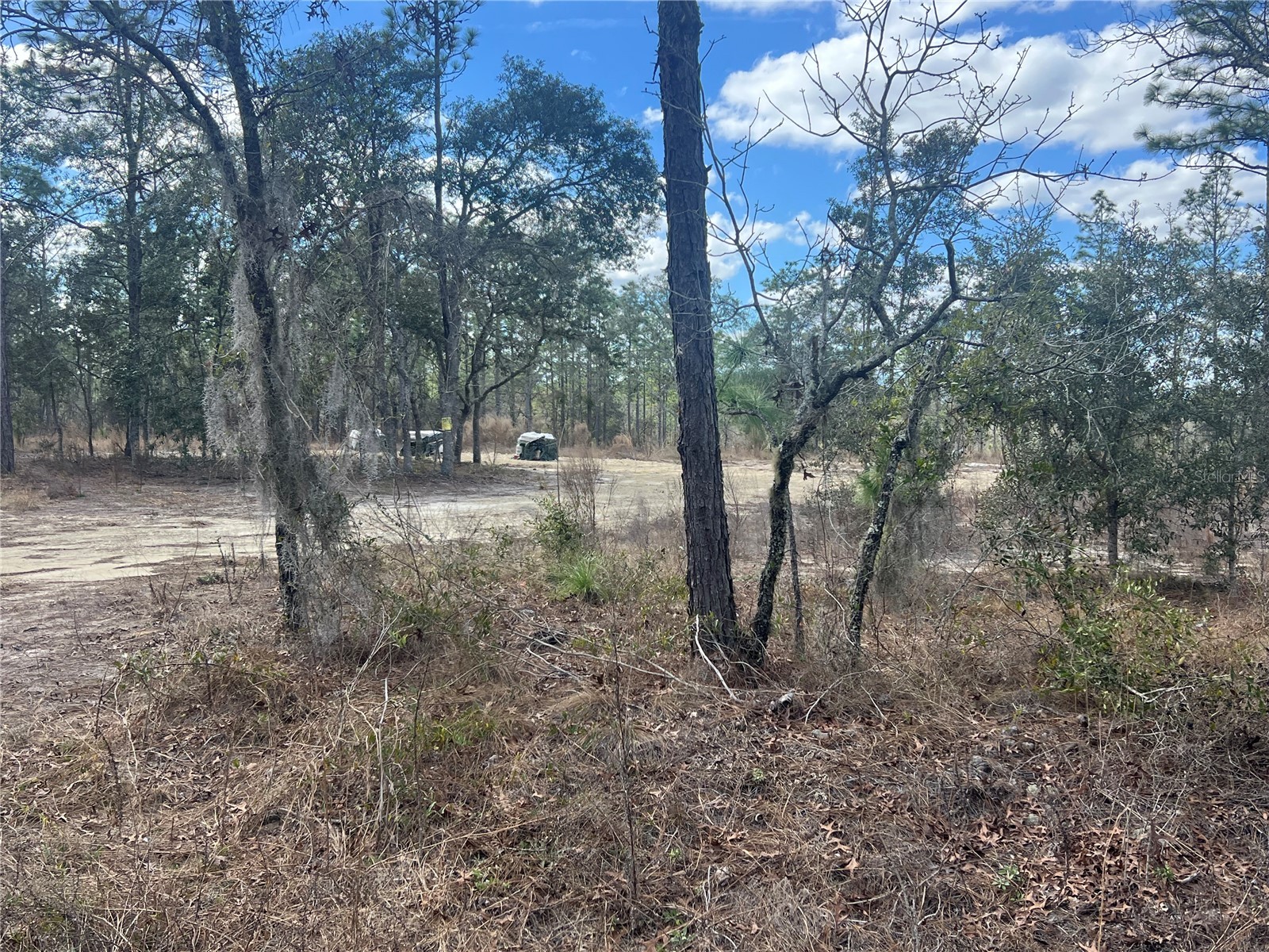 0000 SE 135th Court SE Dunnellon FL 34431 W7883138 image13