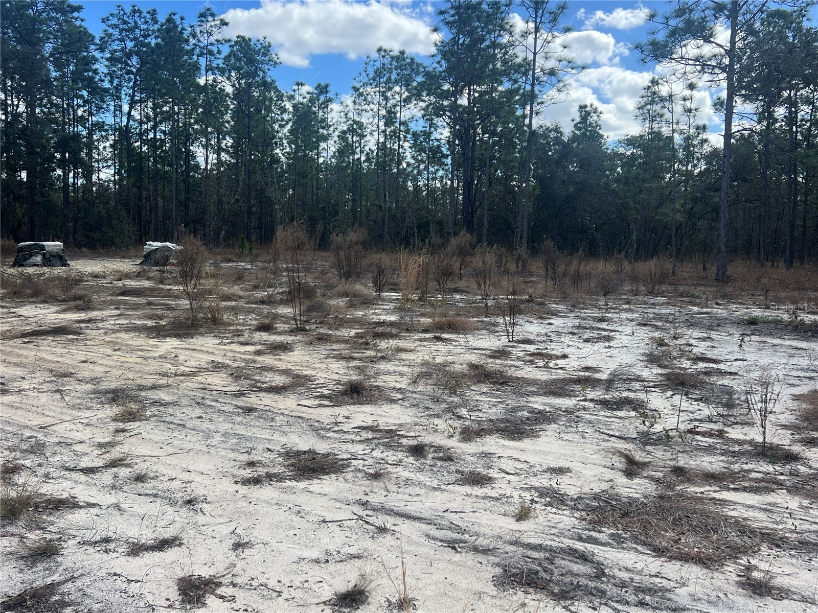 0000 SE 135th Court SE Dunnellon FL 34431 W7883138 image3