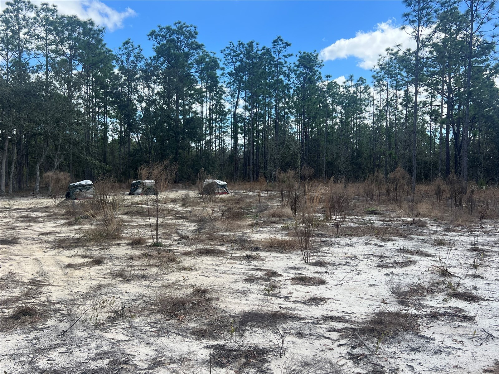 0000 SE 135th Court SE Dunnellon FL 34431 W7883138 image4