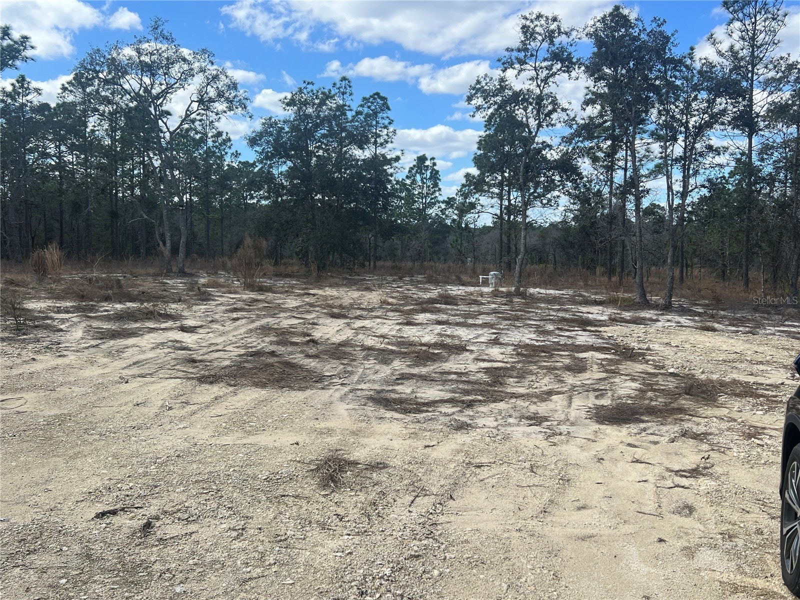 0000 SE 135th Court SE Dunnellon FL 34431 W7883138 image5
