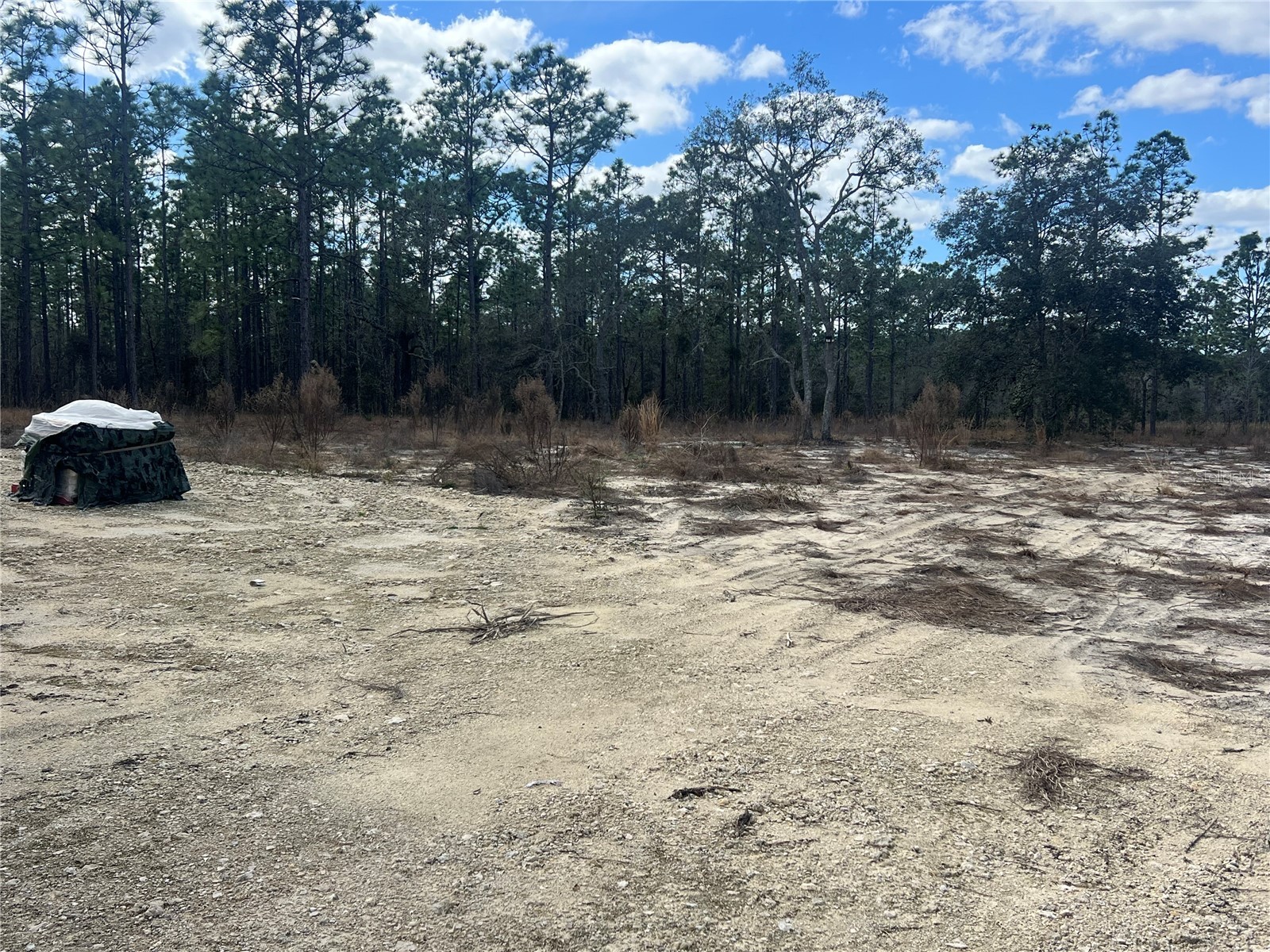 0000 SE 135th Court SE Dunnellon FL 34431 W7883138 image6