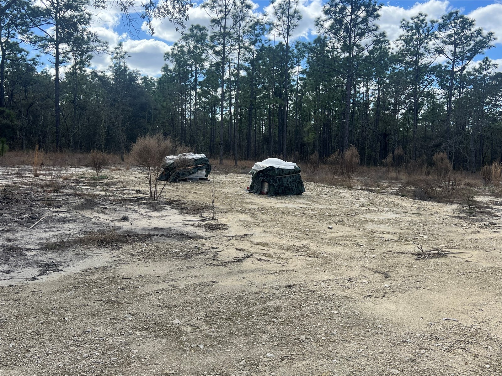 0000 SE 135th Court SE Dunnellon FL 34431 W7883138 image7