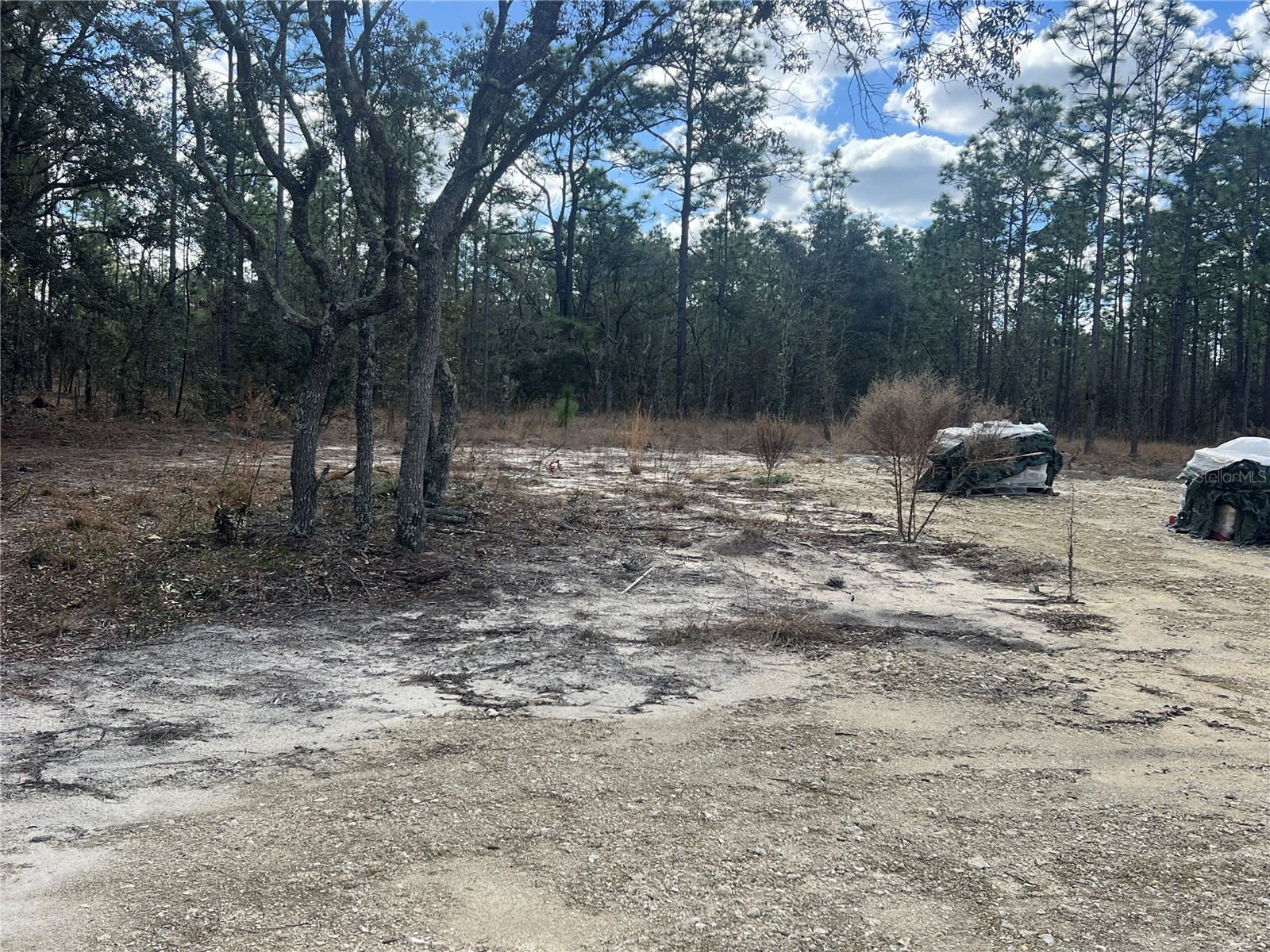 0000 SE 135th Court SE Dunnellon FL 34431 W7883138 image8