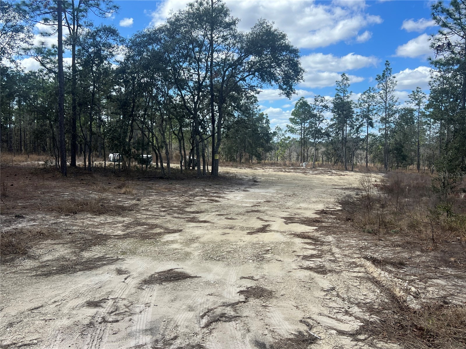 0000 SE 135th Court SE Dunnellon FL 34431 W7883138 image9