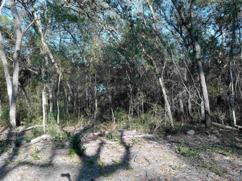 0000 SE 170th Court Ocklawaha FL 32179 OM672693 image1