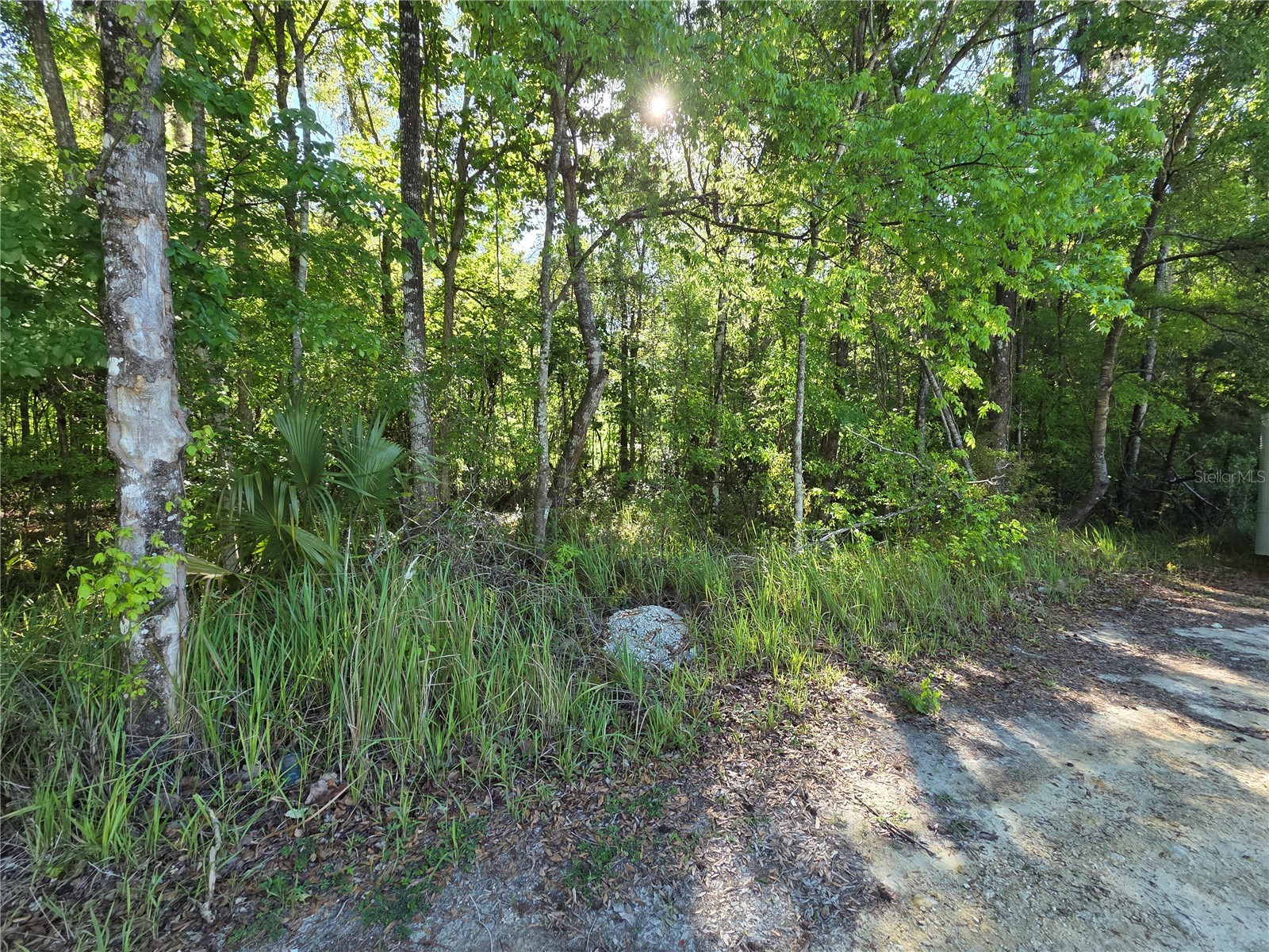 0000 SE 42nd Court Belleview FL 34420 OM721058 image1