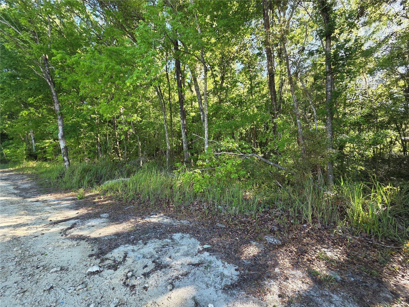 0000 SE 42nd Court Belleview FL 34420 OM721058 image2