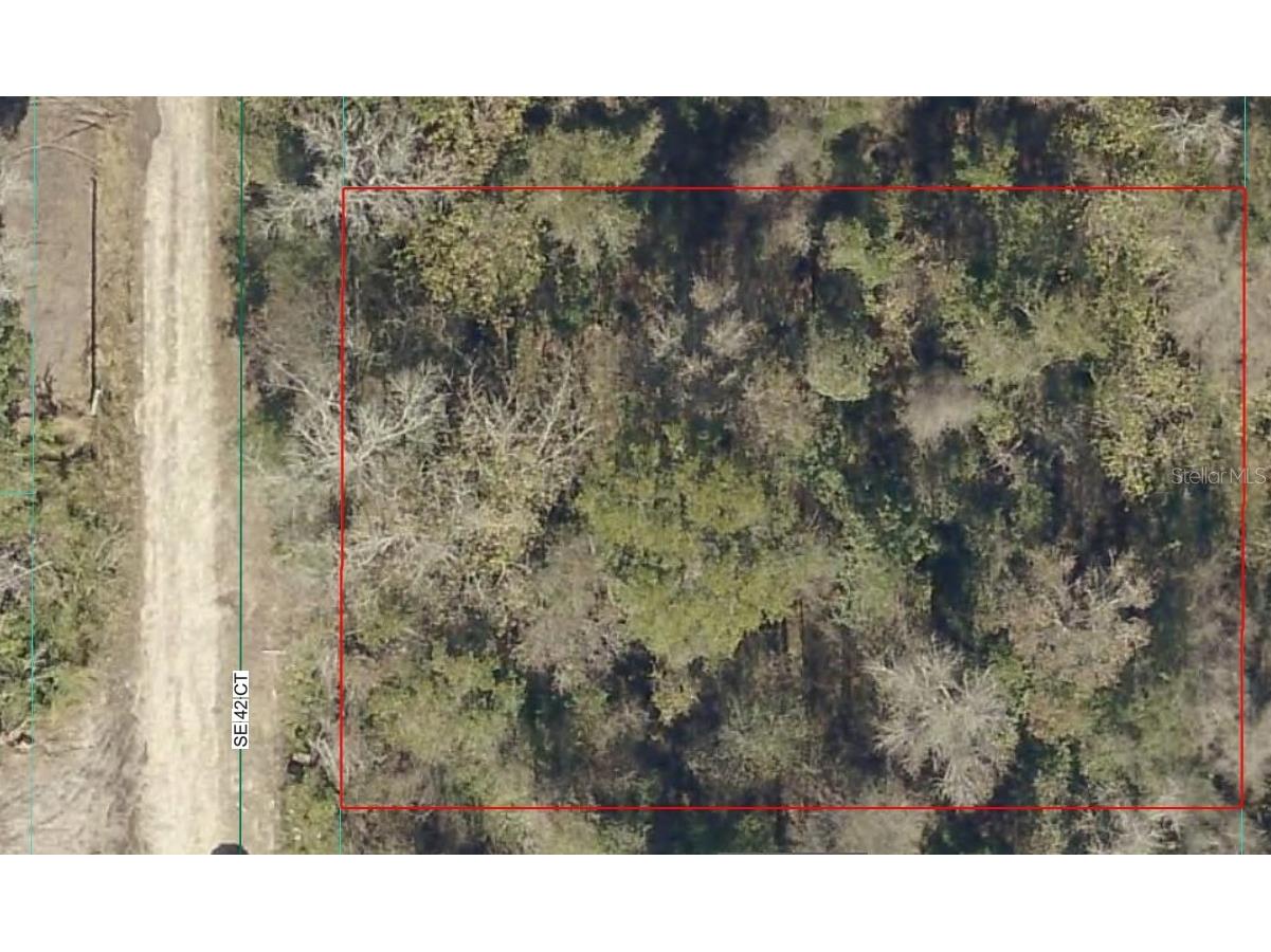 0000 SE 42nd Court Belleview FL 34420 OM721058 image4