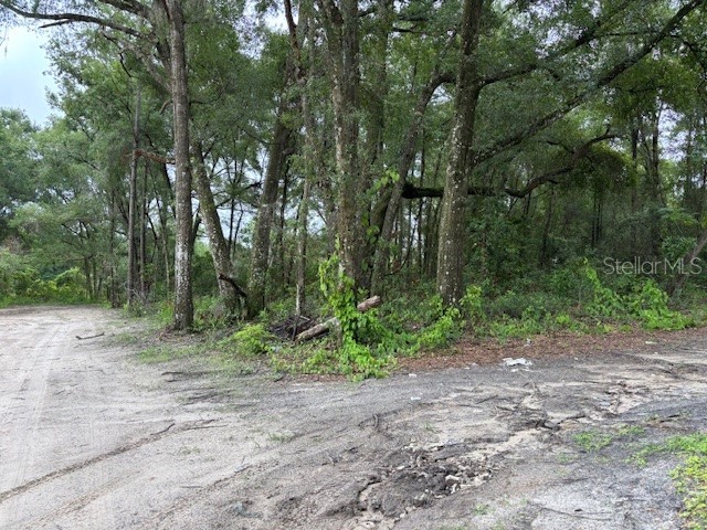 0000 SE 43rd Terrace Summerfield FL 34491 OM708135 image1