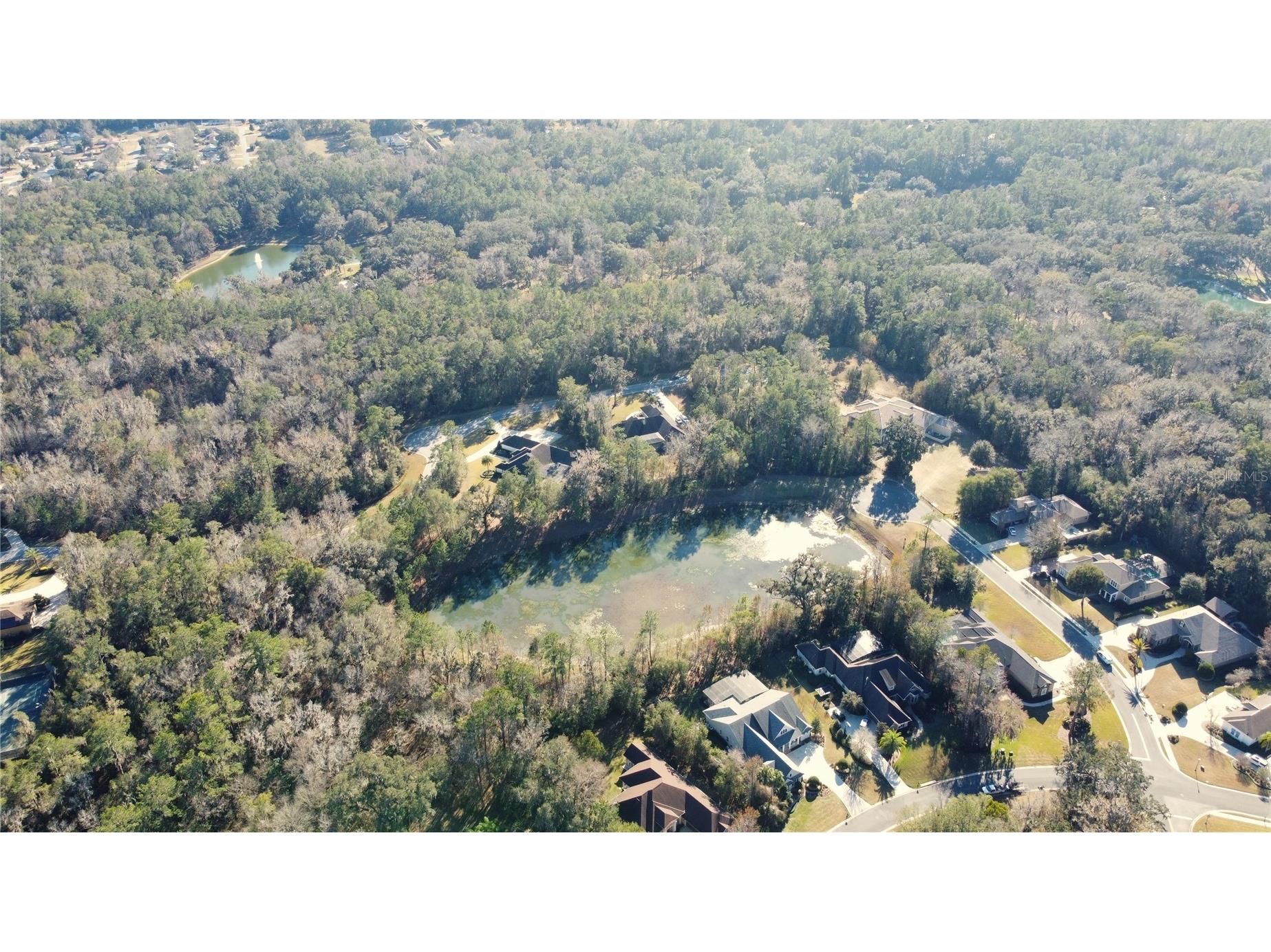 0000 SE 47th Street Ocala FL 34480 OM716948 image8
