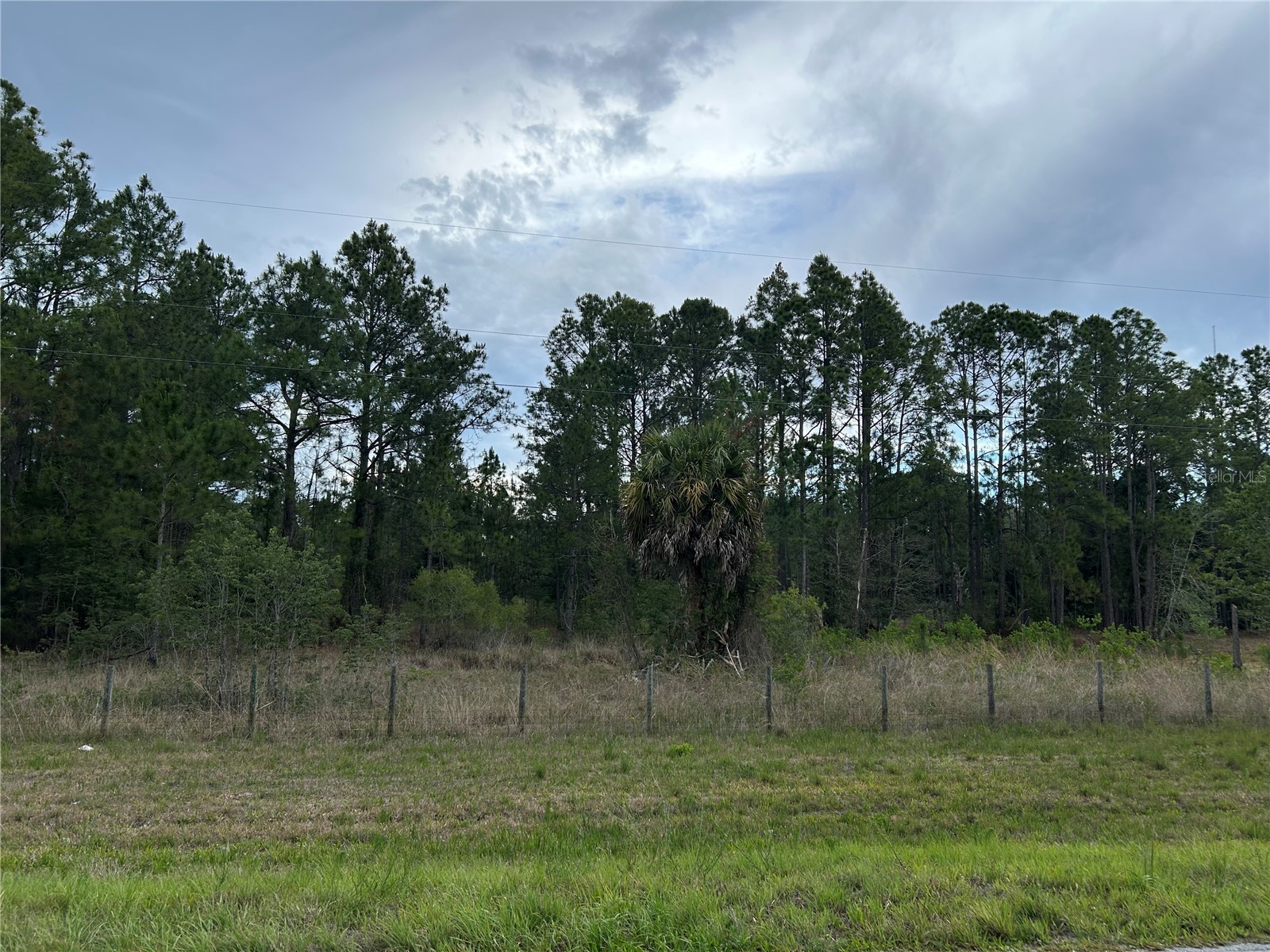 0000 SE 60th Avenue Morriston FL 32668 OM728069 image1