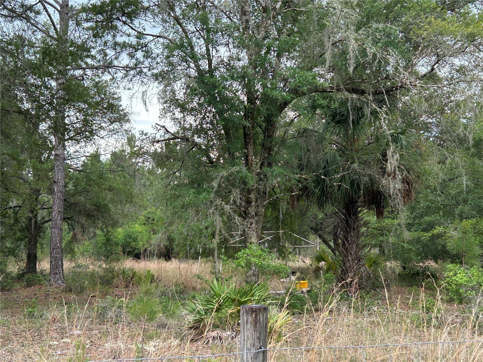 0000 SE 60th Avenue Morriston FL 32668 OM728069 image10
