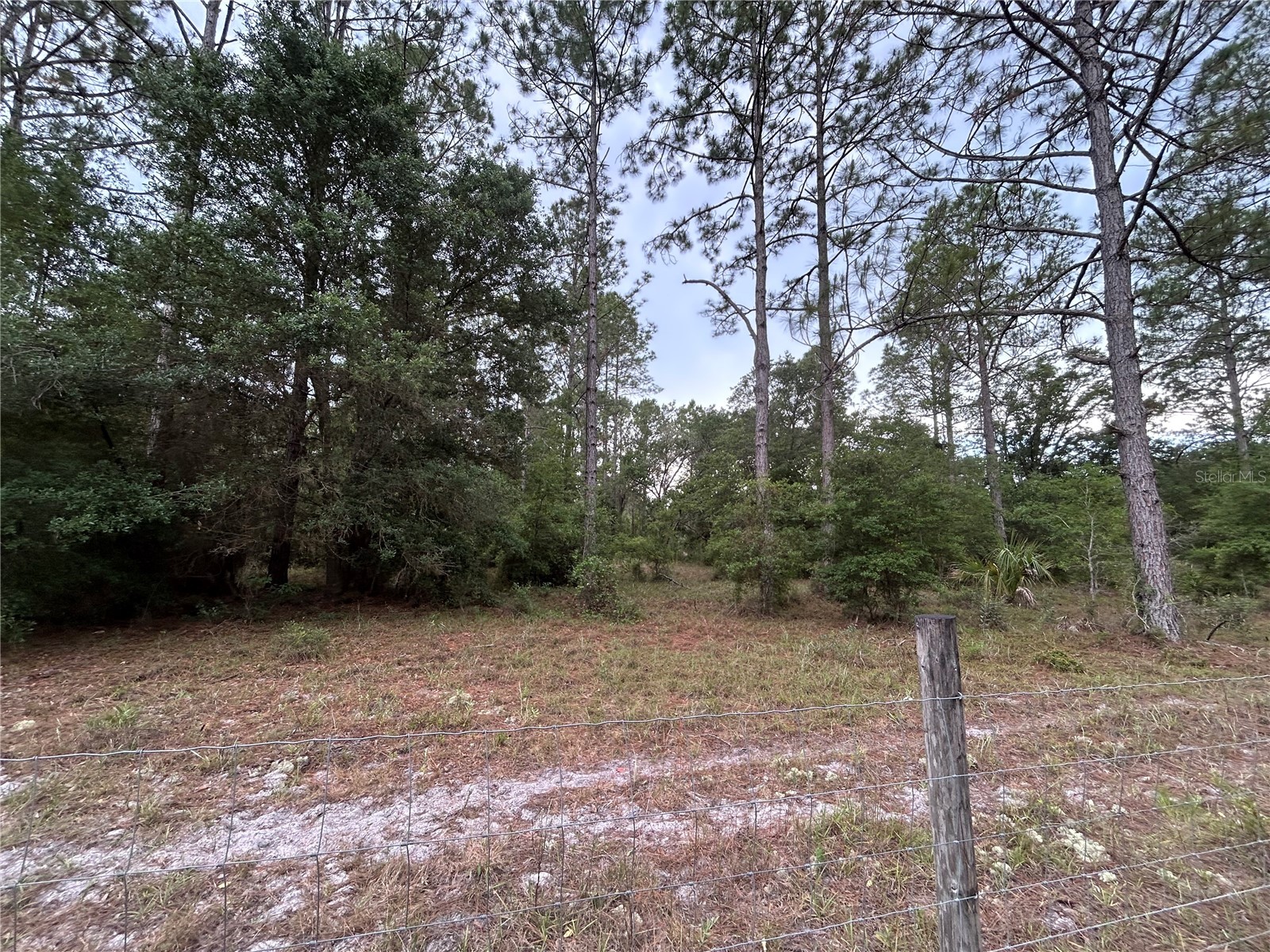 0000 SE 60th Avenue Morriston FL 32668 OM728069 image11
