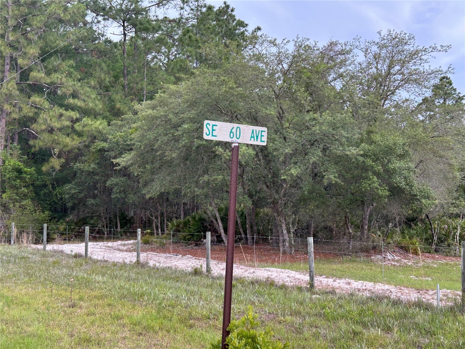 0000 SE 60th Avenue Morriston FL 32668 OM728069 image2