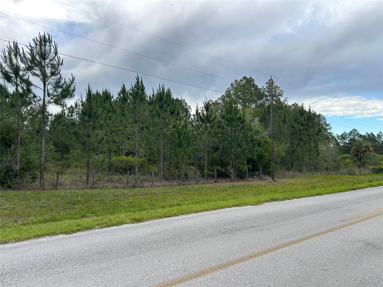 0000 SE 60th Avenue Morriston FL 32668 OM728069 image4