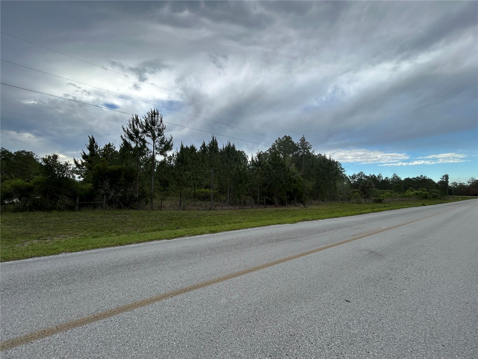 0000 SE 60th Avenue Morriston FL 32668 OM728069 image5