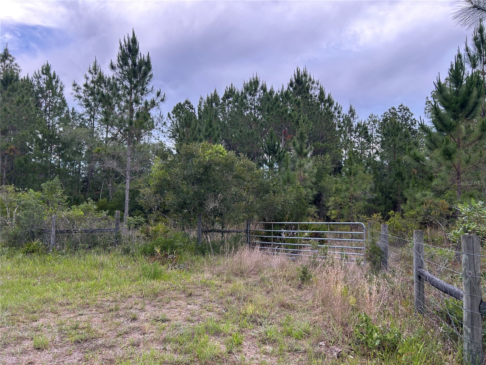 0000 SE 60th Avenue Morriston FL 32668 OM728069 image6