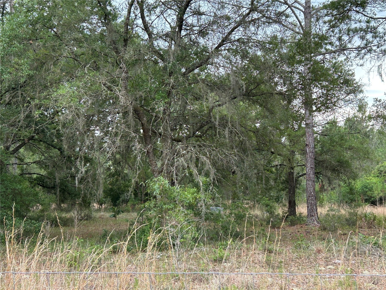 0000 SE 60th Avenue Morriston FL 32668 OM728069 image9