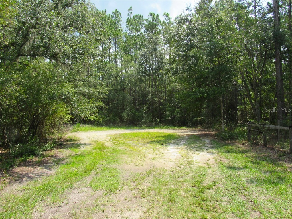 0000 SE 73rd Place Morriston FL 32668 OM661283 image1