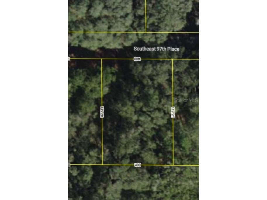 0000 SE 97th Place Ocklawaha FL 32179 G5105940 image1
