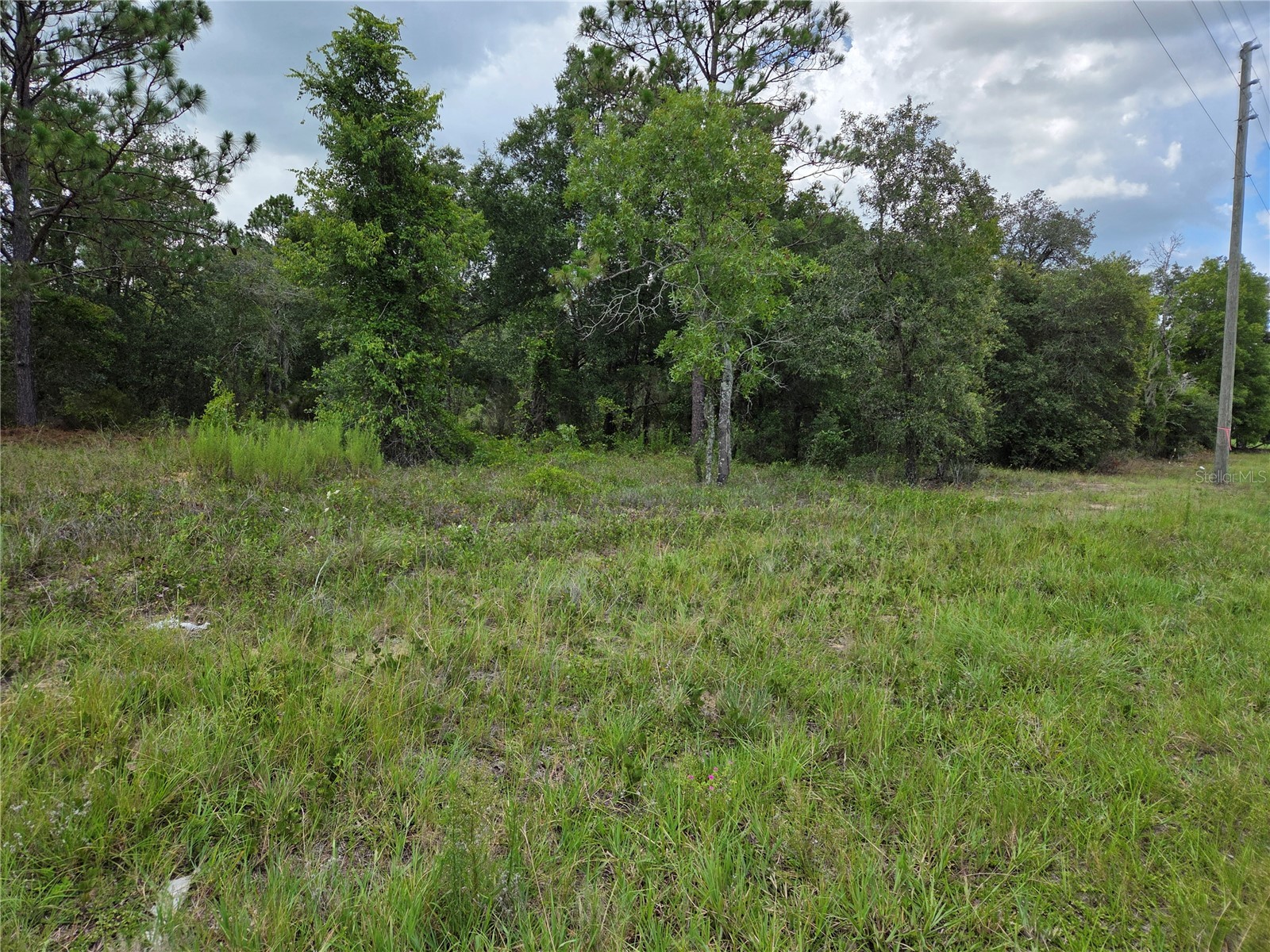 0000 SE State Road 121 Williston FL 32696 OM729108 image1