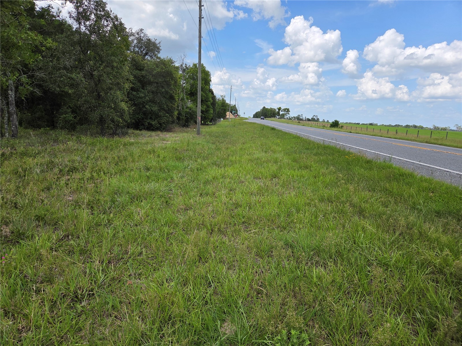 0000 SE State Road 121 Williston FL 32696 OM729108 image3