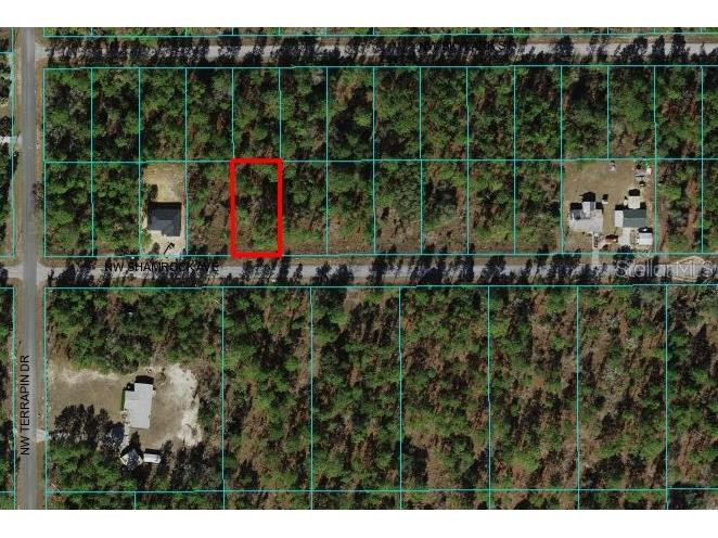 0000 Shamrock Avenue #064 Dunnellon FL 34431 OM666621 image1