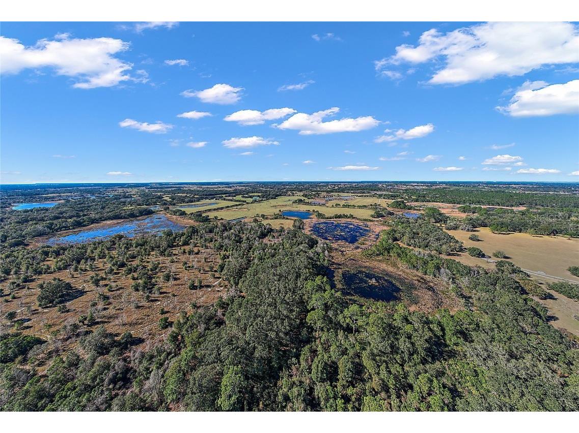 0000 Silverwood Lane Howey In The Hills FL 34737 G5088990 image14