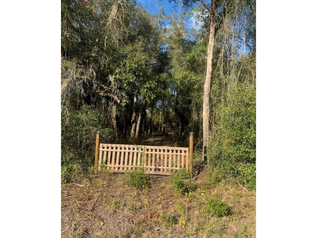 0000 Sonia Avenue Webster FL 33597 W7851890 image1