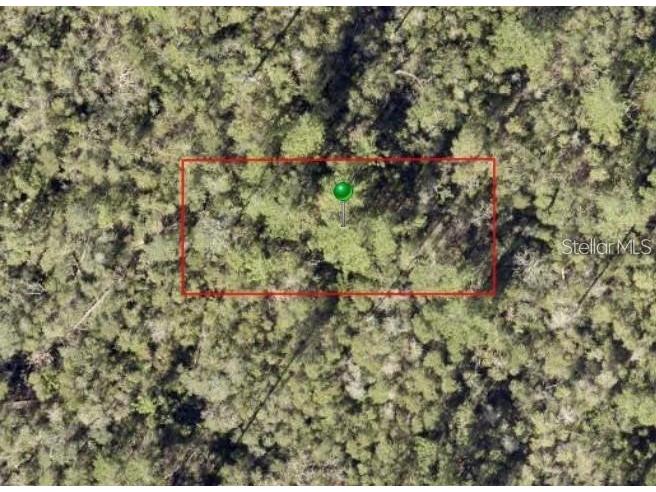 0000 South Avenue Deltona FL 32725 FC298423 image1