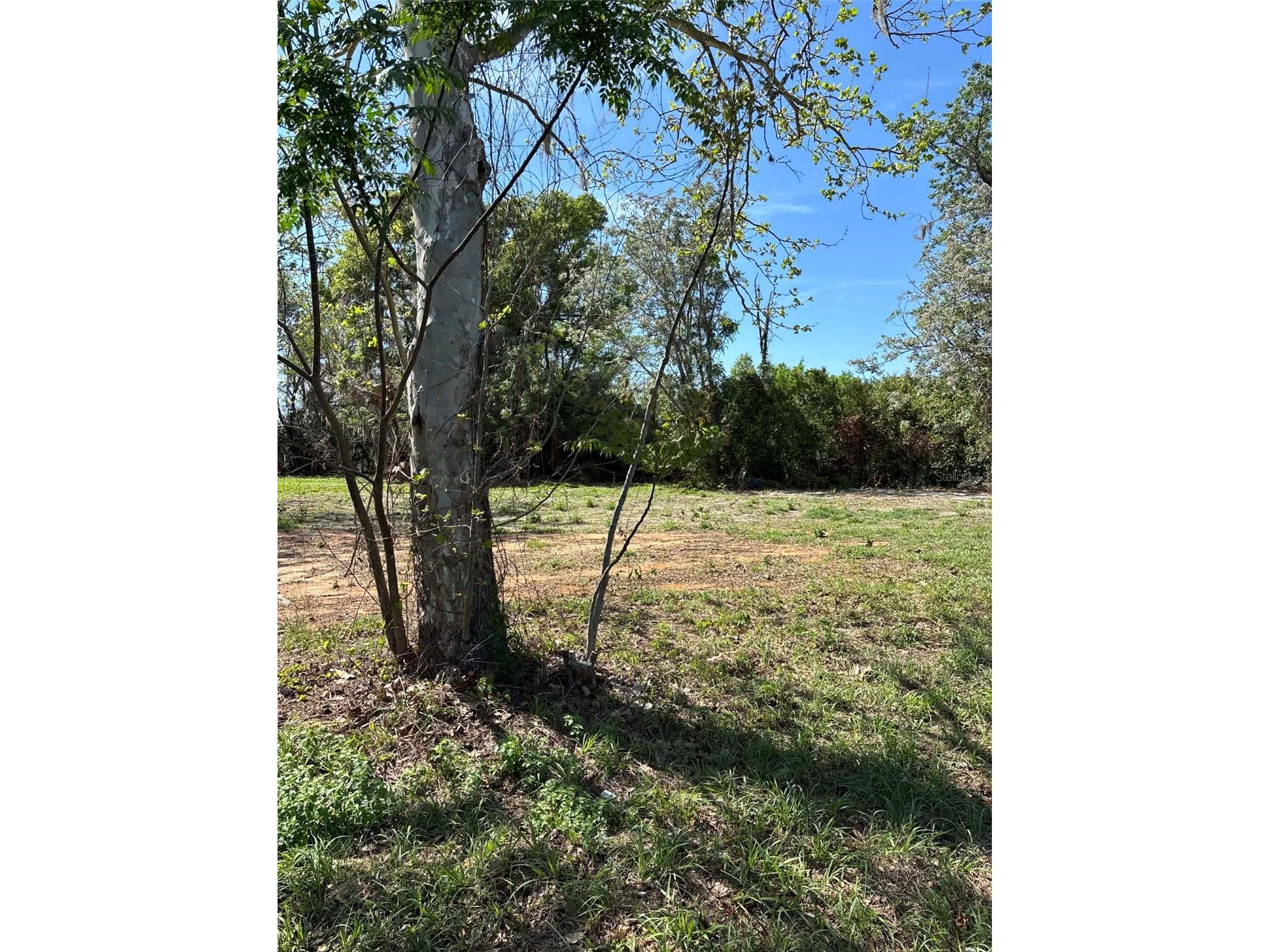 0000 State Road 19 Groveland FL 34736 G5109702 image1