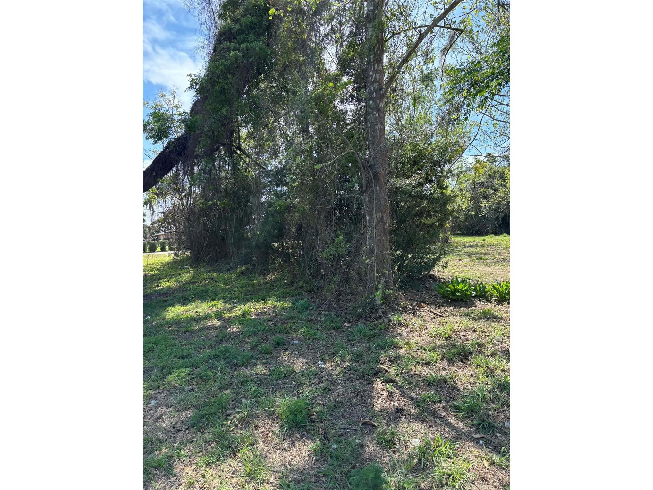 0000 State Road 19 Groveland FL 34736 G5109702 image3