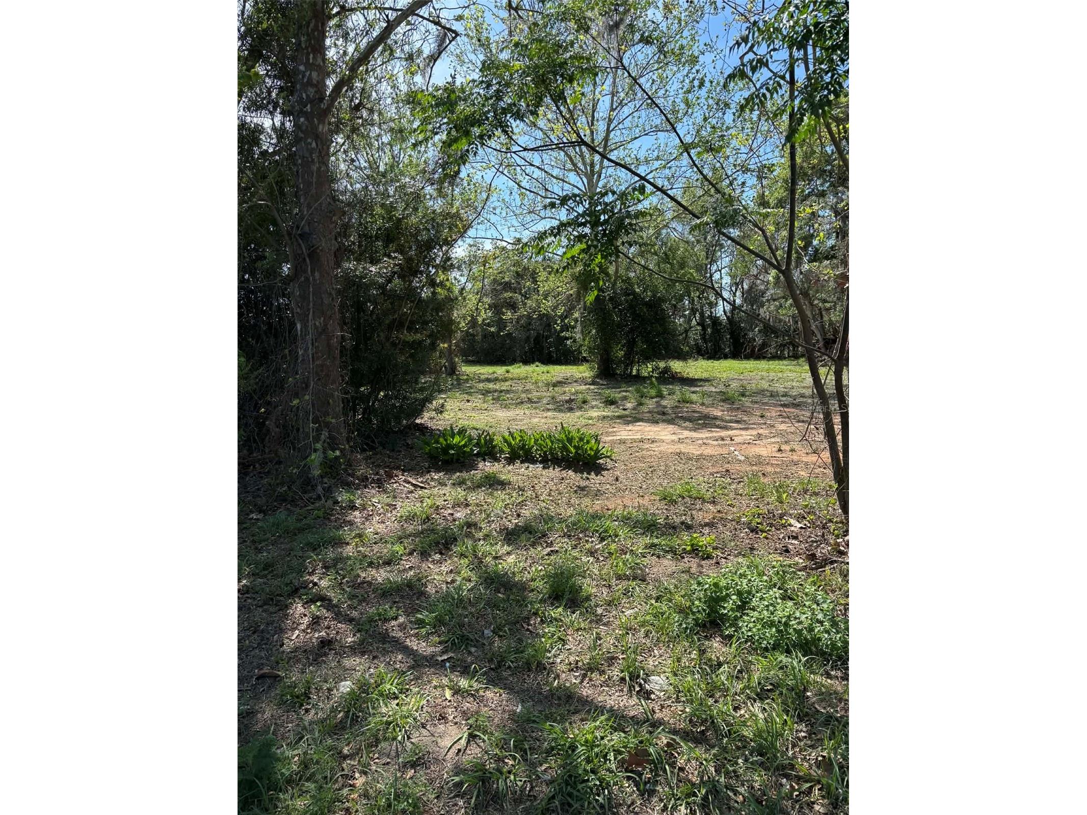 0000 State Road 19 Groveland FL 34736 G5109702 image6