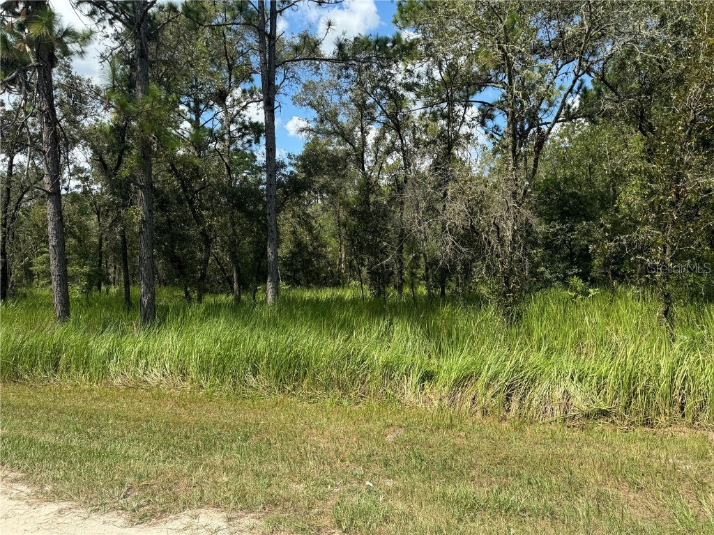 0000 SW 125th Court Rd Dunnellon FL 34432 G5086248 image1