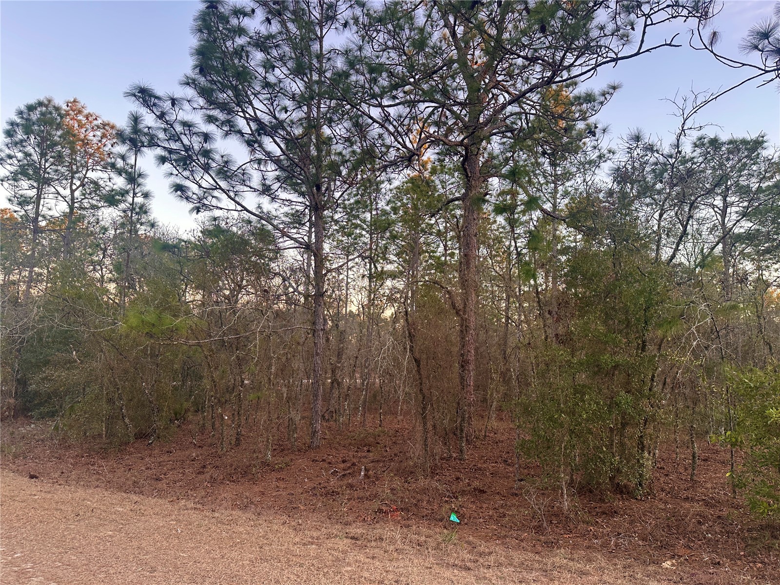 0000 SW 130th Terrace Dunnellon FL 34434 OM718572 image1