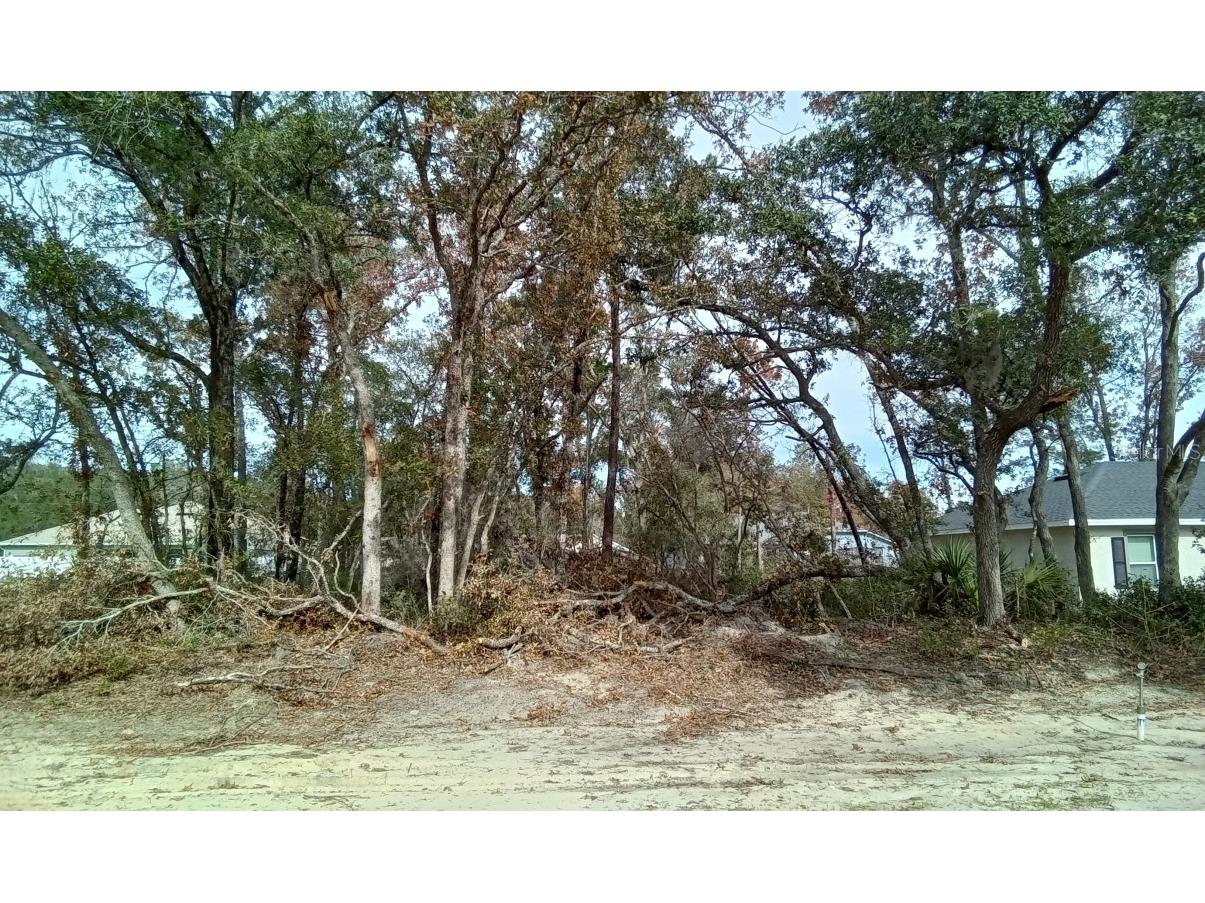 0000 Sw 133rd Lane Ocala FL 34473 O6171652 image1