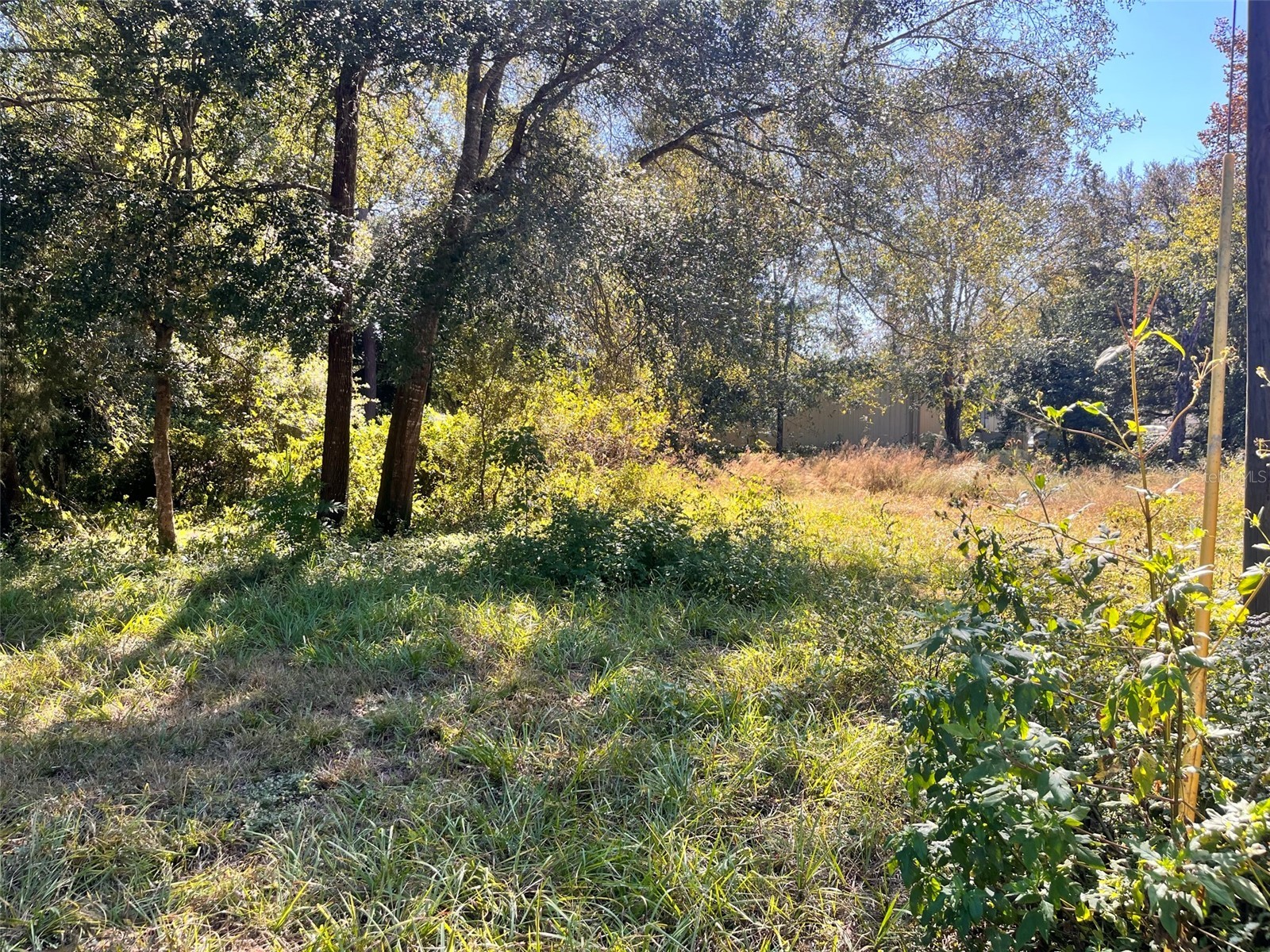 0000 SW 134th Avenue Archer FL 32618 GC537733 image3