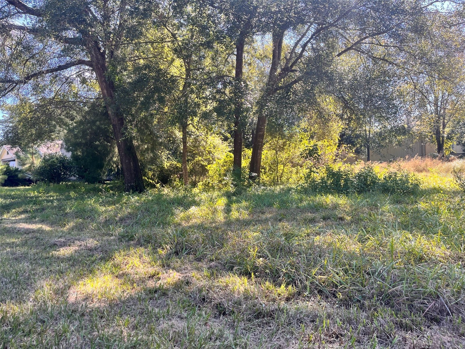0000 SW 134th Avenue Archer FL 32618 GC537733 image4
