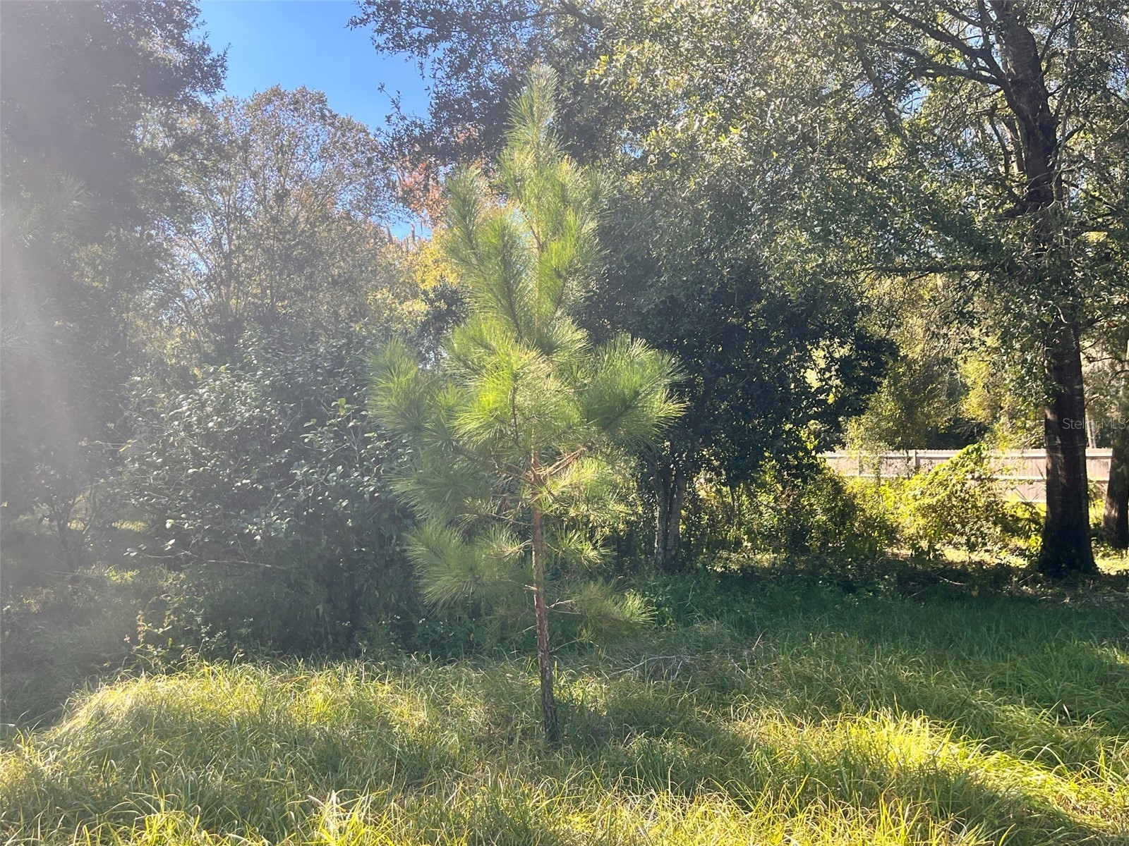 0000 SW 134th Avenue Archer FL 32618 GC537733 image6