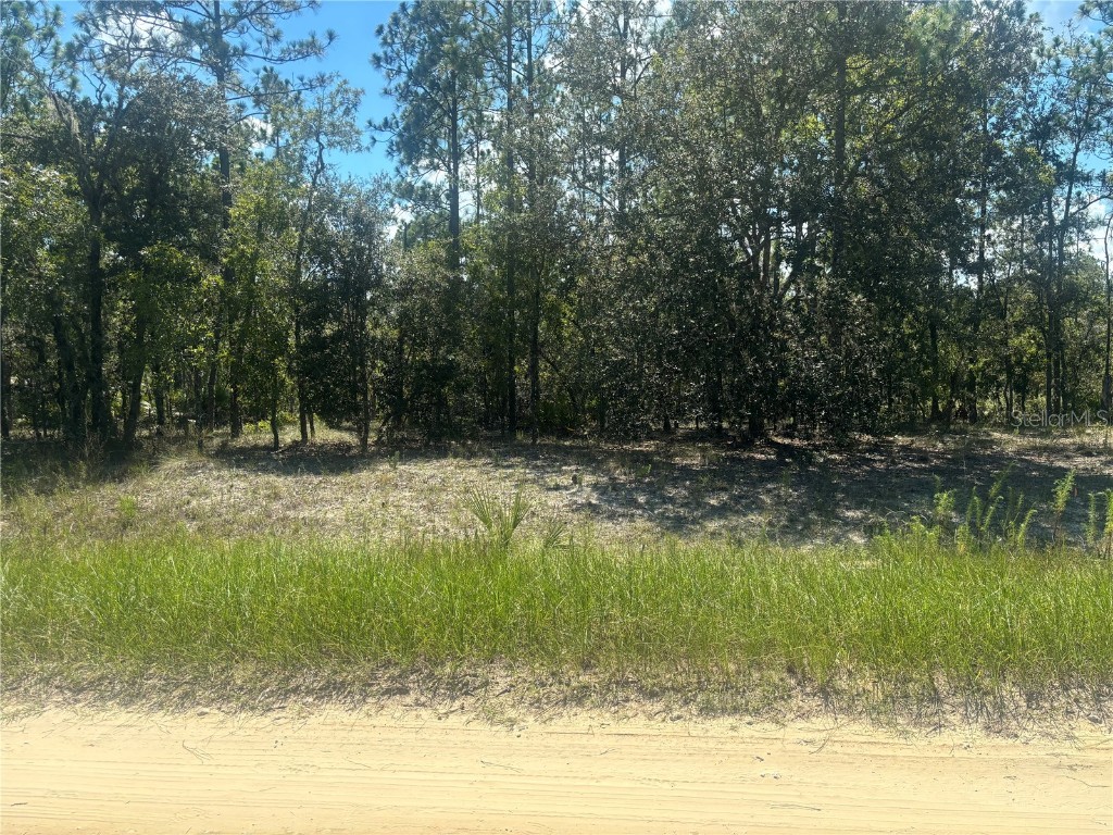 0000 SW 134th Avenue Dunnellon FL 34432 OM706427 image1
