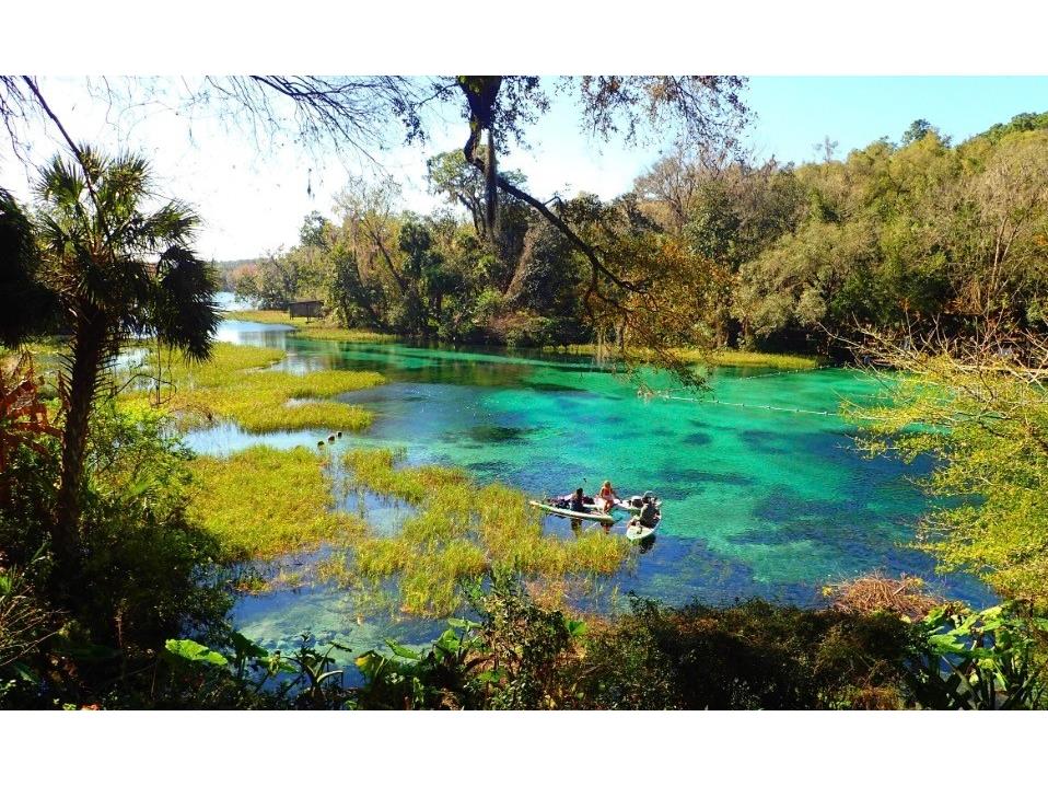 0000 SW 147th Road Ocala FL 34473 OM710569 image3