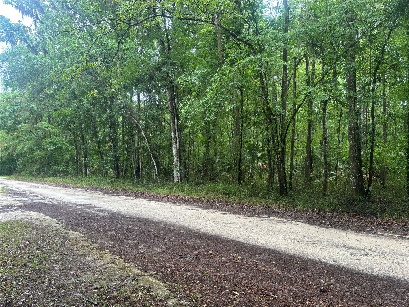 0000 SW 14th Place Ocala FL 34481 OM724513 image1