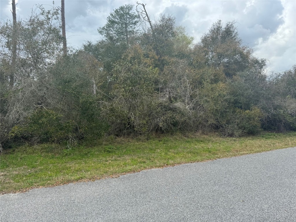 0000 SW 153 Place Rd Ocala FL 34473 GC519934 image1