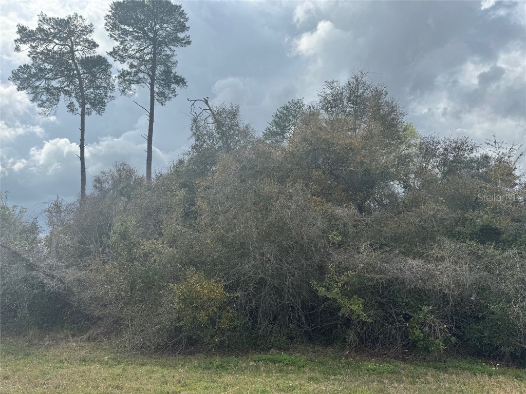 0000 SW 153 Place Rd Ocala FL 34473 GC519935 image1