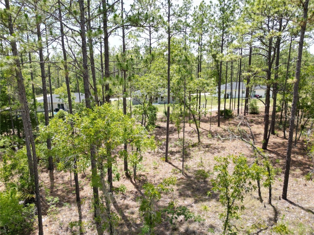 0000 SW 157th Avenue Ocala FL 34481 G5098111 image3