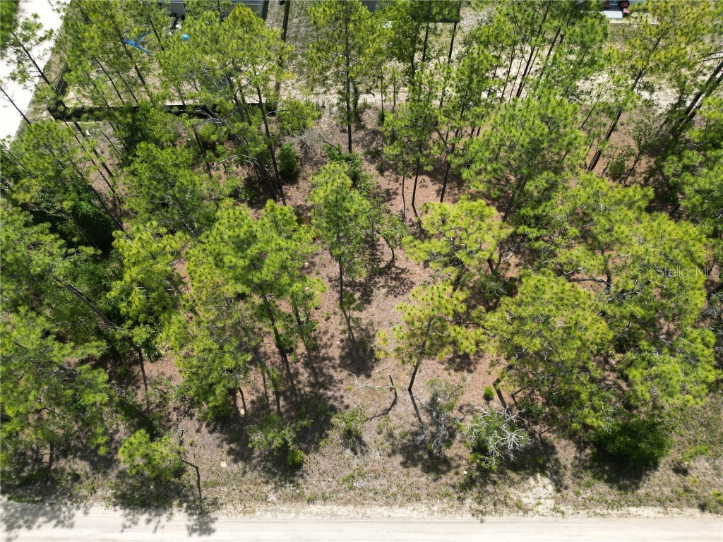 0000 SW 157th Avenue Ocala FL 34481 G5098111 image4