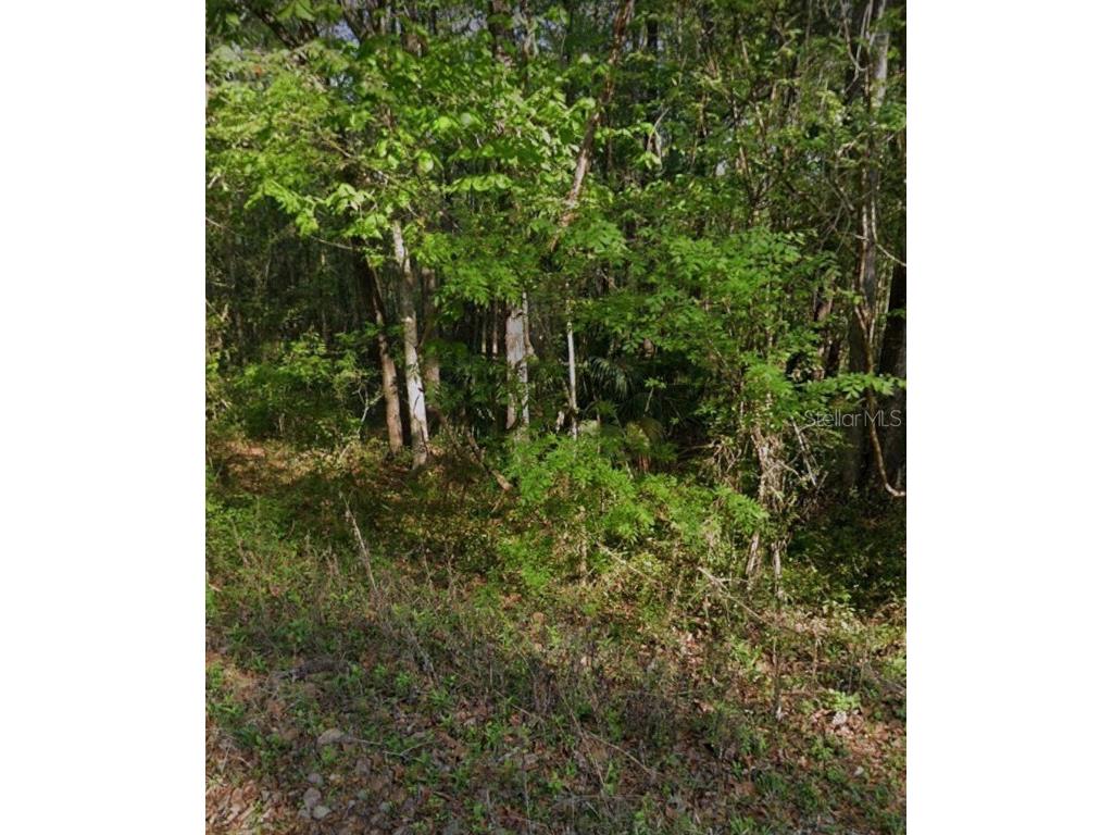 0000 Sw 15th St Rd Ocala FL 34481 W7871249 image1
