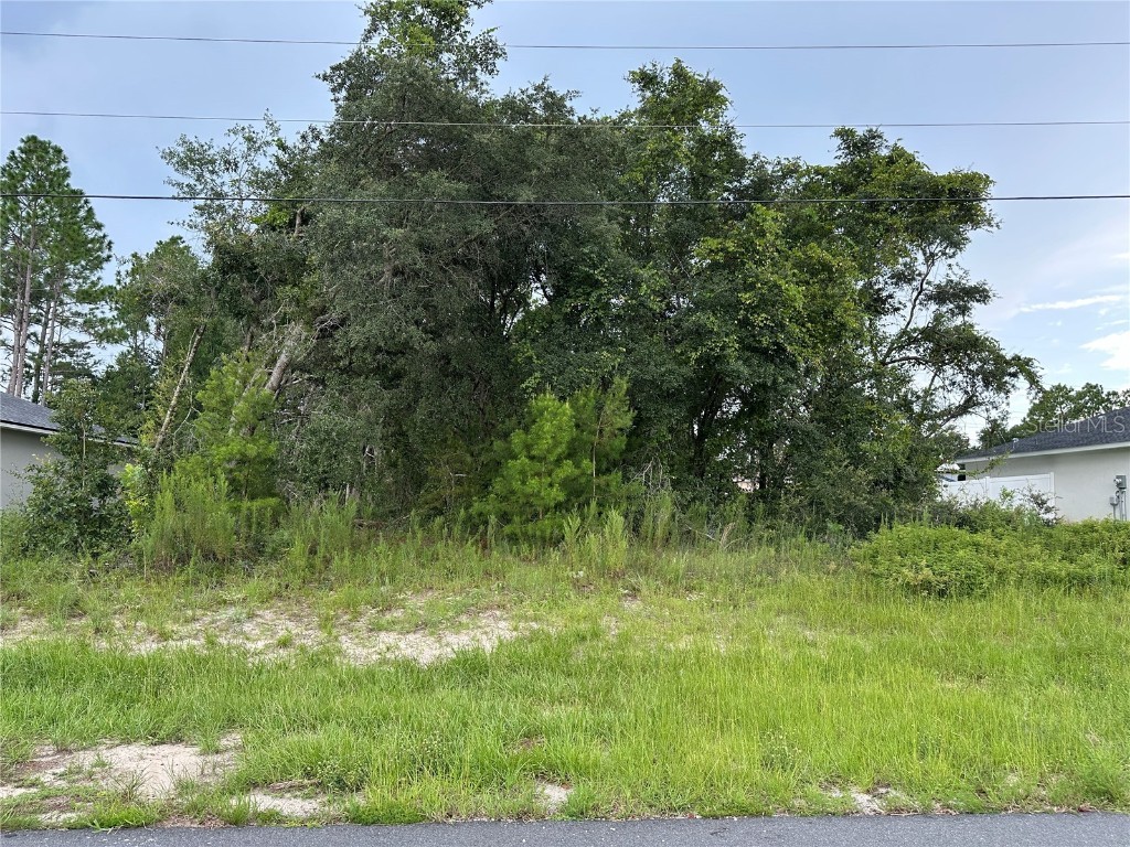 0000 SW 166th Loop Ocala FL 34473 OM683120 image1