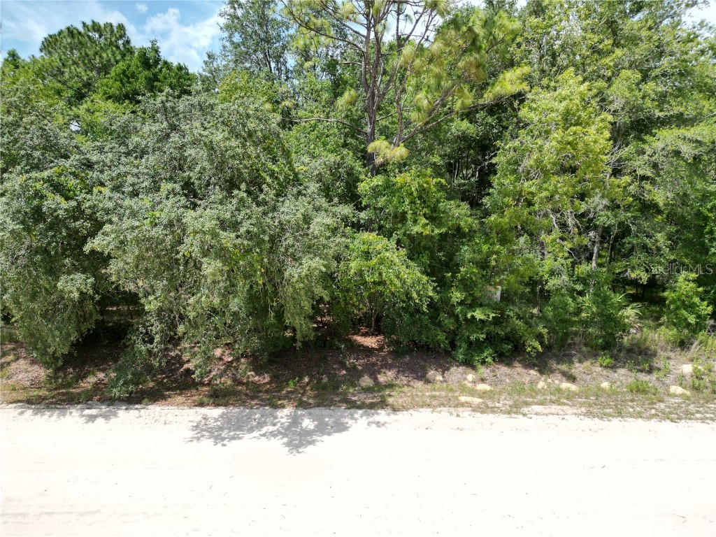 0000 SW 16th Place Ocala FL 34481 G5098112 image2