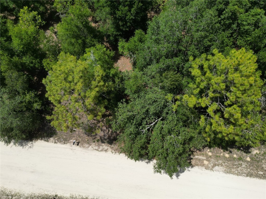 0000 SW 16th Place Ocala FL 34481 G5098112 image3